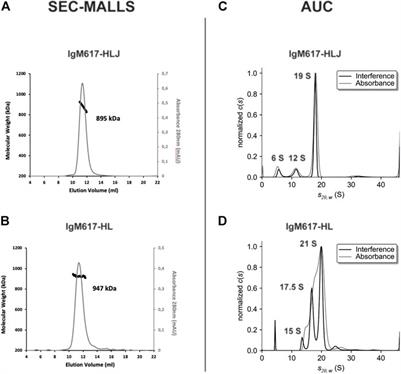 Biophysical Characterization of the Oligomeric States of Recombinant Immunoglobulins Type-M and Their C1q-Binding Kinetics by Biolayer Interferometry